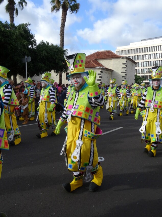 A group of clowns in the Santa Cruz carnival